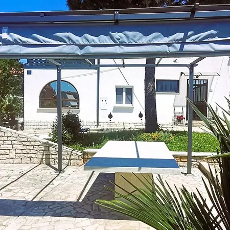 Bella Vista Berger * Kukci