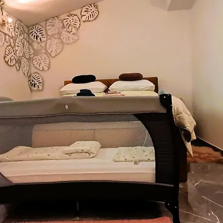 Bella Vista Berger * Kukci